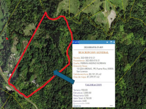 casas en venta o alquiler en San Lorenzo