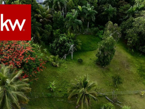 casas en venta o alquiler en Bayamón