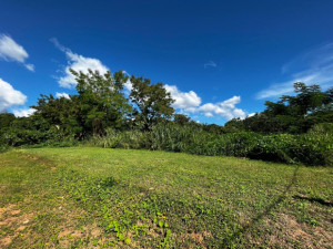 casas en venta o alquiler en Añasco