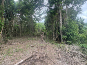 casas en venta o alquiler en Coamo