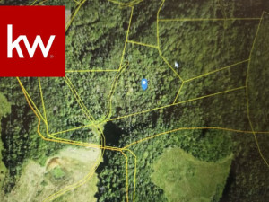 casas en venta o alquiler en Arecibo