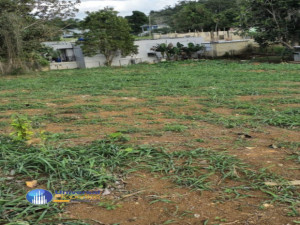 casas en venta o alquiler en Isabela