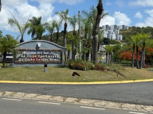 casas en venta o alquiler en Fajardo