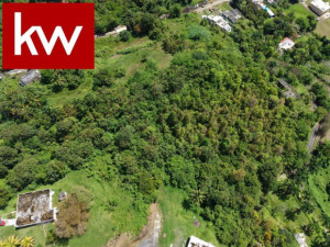 casas en venta o alquiler en Carolina