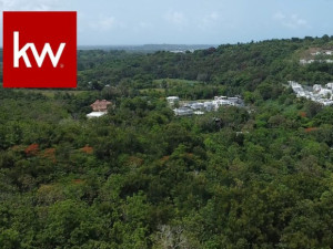 casas en venta o alquiler en Canovanas