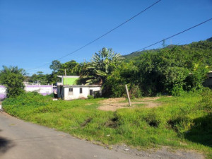 casas en venta o alquiler en Gurabo