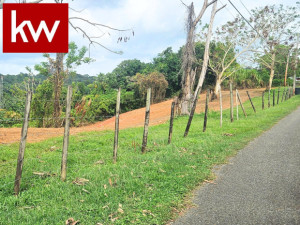 casas en venta o alquiler en Añasco