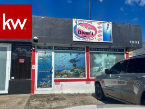 casas en venta o alquiler en Toa Baja