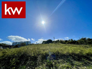 casas en venta o alquiler en Fajardo