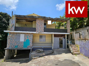 casas en venta o alquiler en Aibonito