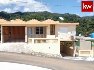 casas en venta o alquiler en Patillas