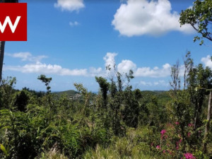 casas en venta o alquiler en Ceiba