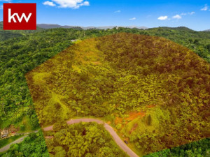 casas en venta o alquiler en Guayama