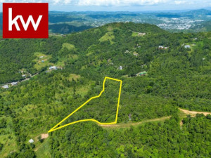 casas en venta o alquiler en Cayey