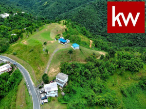 casas en venta o alquiler en Caguas