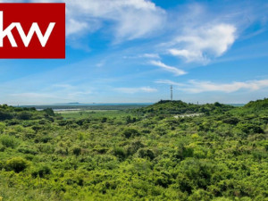 casas en venta o alquiler en Ponce