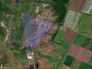 casas en venta o alquiler en Juana Díaz