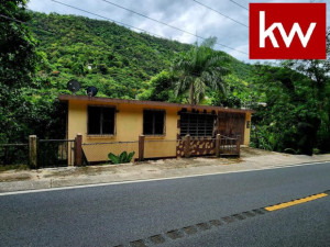 casas en venta o alquiler en Aibonito