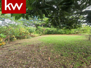 casas en venta o alquiler en Ciales