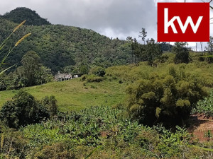 casas en venta o alquiler en Barranquitas