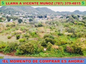 casas en venta o alquiler en Sabana Grande