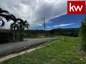 casas en venta o alquiler en Mayagüez