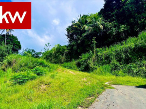 casas en venta o alquiler en Bayamón