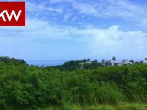 casas en venta o alquiler en Rincón