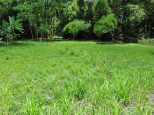 casas en venta o alquiler en Guaynabo