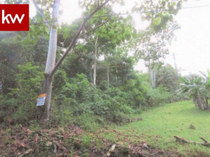 casas en venta o alquiler en Morovis