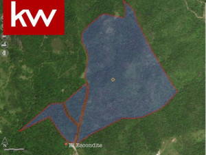 casas en venta o alquiler en Cayey