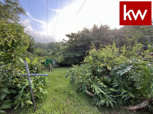 casas en venta o alquiler en Ciales