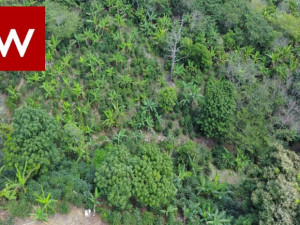 casas en venta o alquiler en Ponce