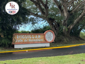 casas en venta o alquiler en Dorado