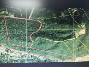 casas en venta o alquiler en Yauco
