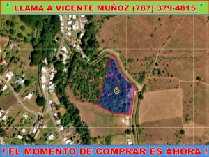 casas en venta o alquiler en Juana Díaz