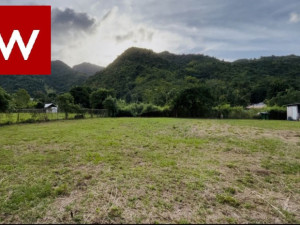 casas en venta o alquiler en Cayey