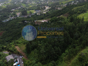 casas en venta o alquiler en Orocovis