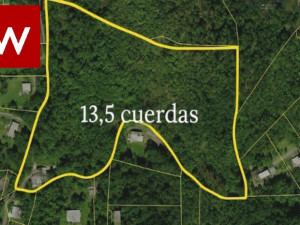 casas en venta o alquiler en Vega Baja