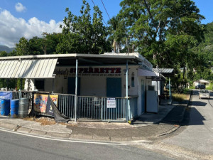 casas en venta o alquiler en Juana Díaz