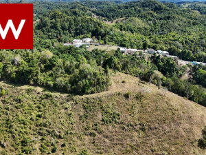 casas en venta o alquiler en Florida