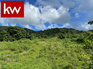 casas en venta o alquiler en Juncos