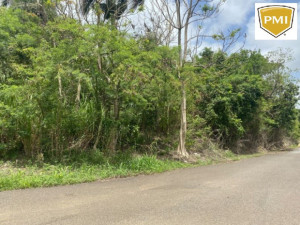 casas en venta o alquiler en Toa Alta
