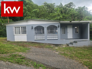 casas en venta o alquiler en Adjuntas