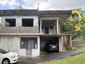 casas en venta o alquiler en Guaynabo