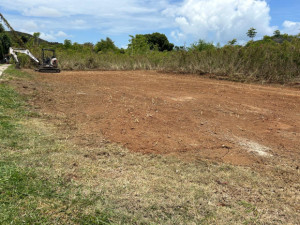 casas en venta o alquiler en Guayama
