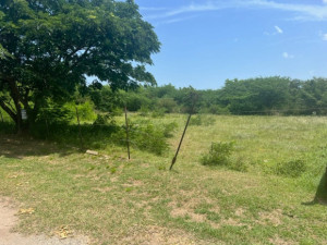 casas en venta o alquiler en Guayama