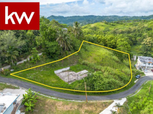 casas en venta o alquiler en Cayey