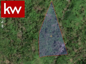 casas en venta o alquiler en Maunabo