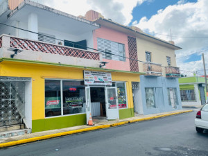 casas en venta o alquiler en Naguabo